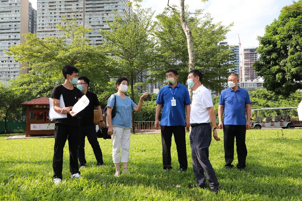 王穗明荣誉会长率队实地调研“深圳市儿童生命博物馆”项目选址工作